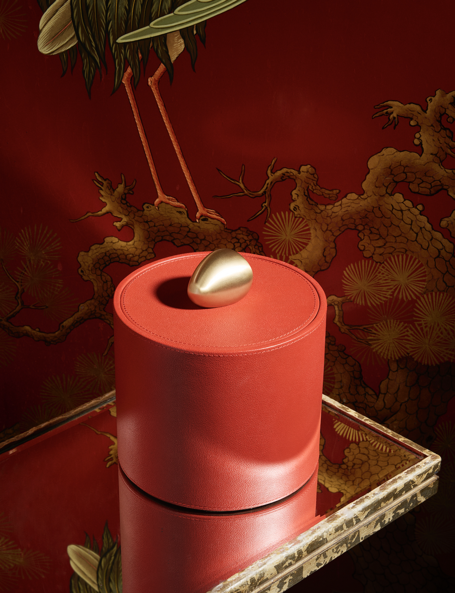 assouline design d'objets de bibliotheques