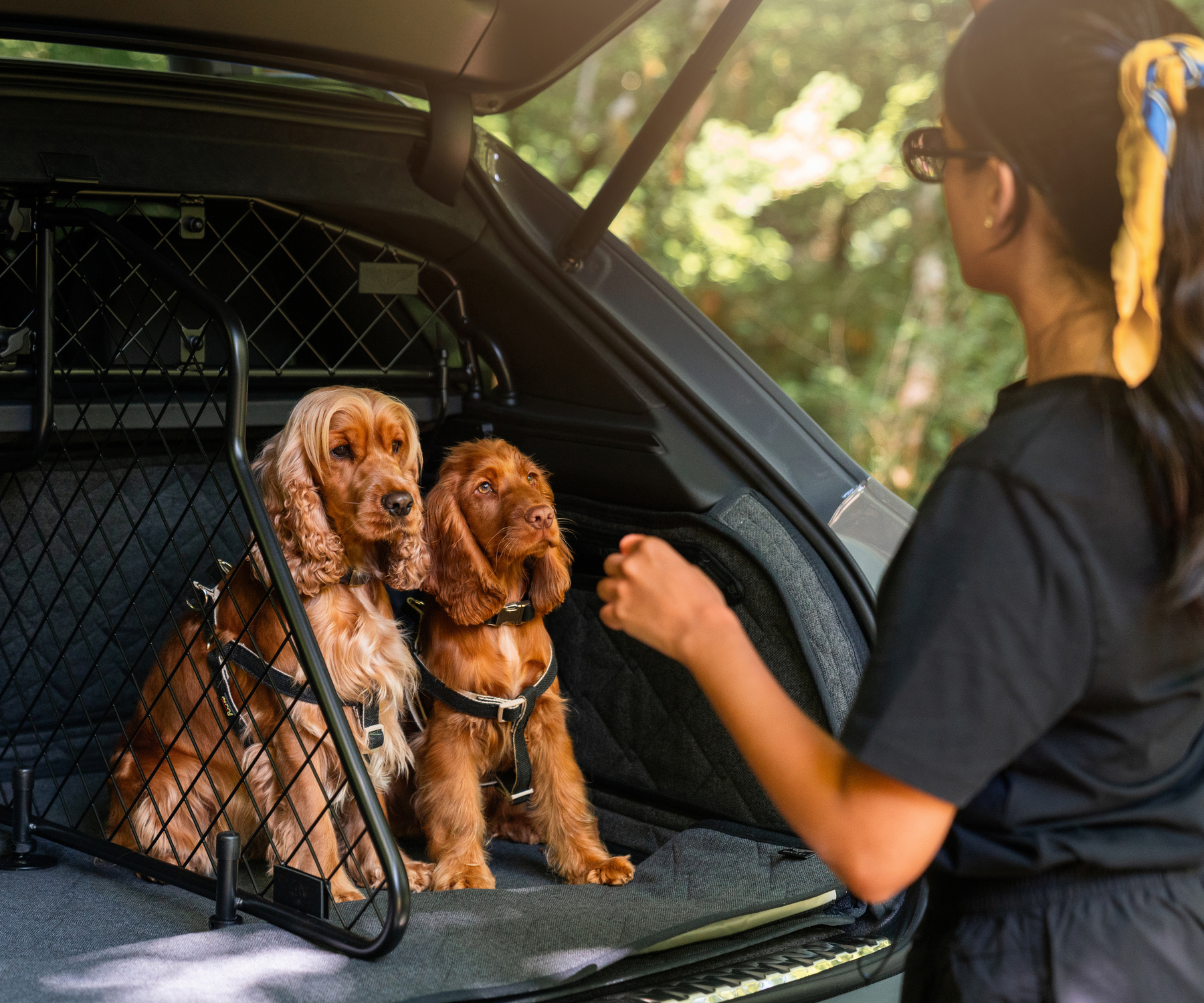 bentley bentayga animaux