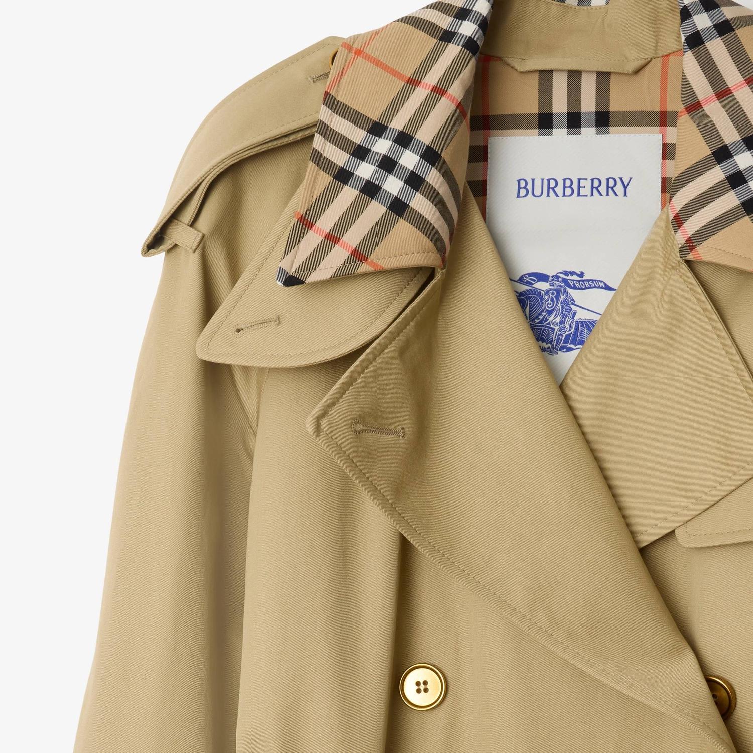 trench coat burberry