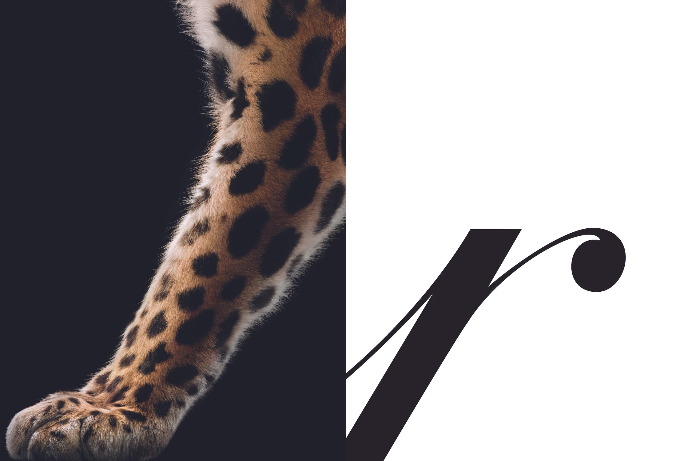 cartier nouveaute joaillerie logo panthere
