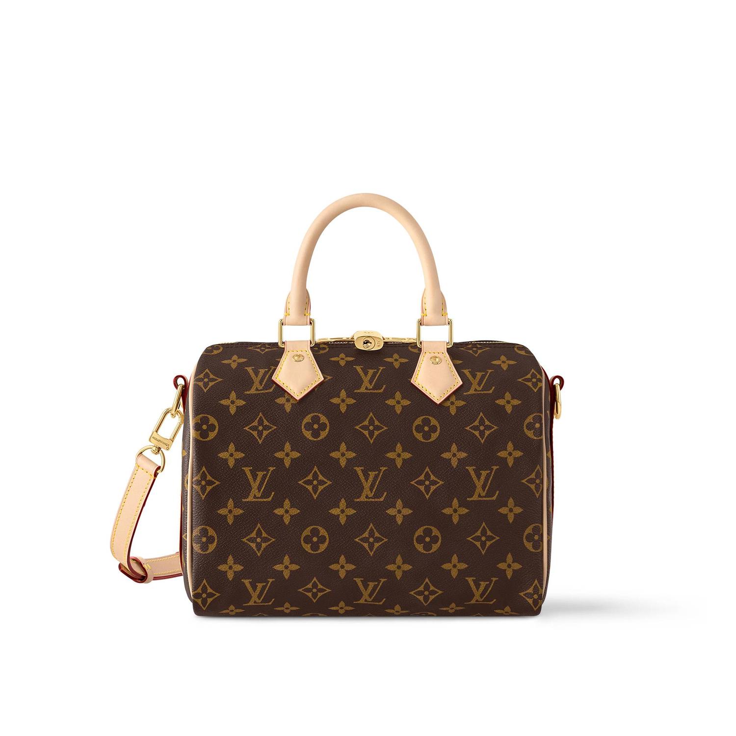 speedy louis vuitton