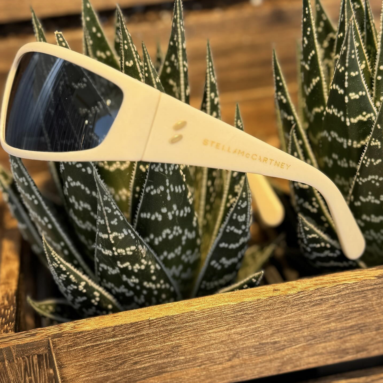 lunettes stella mccartney mango materials