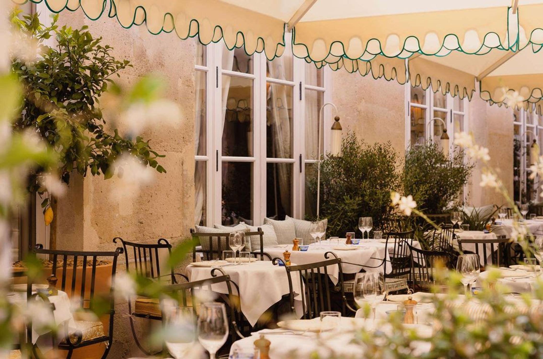 mimosa rue royale