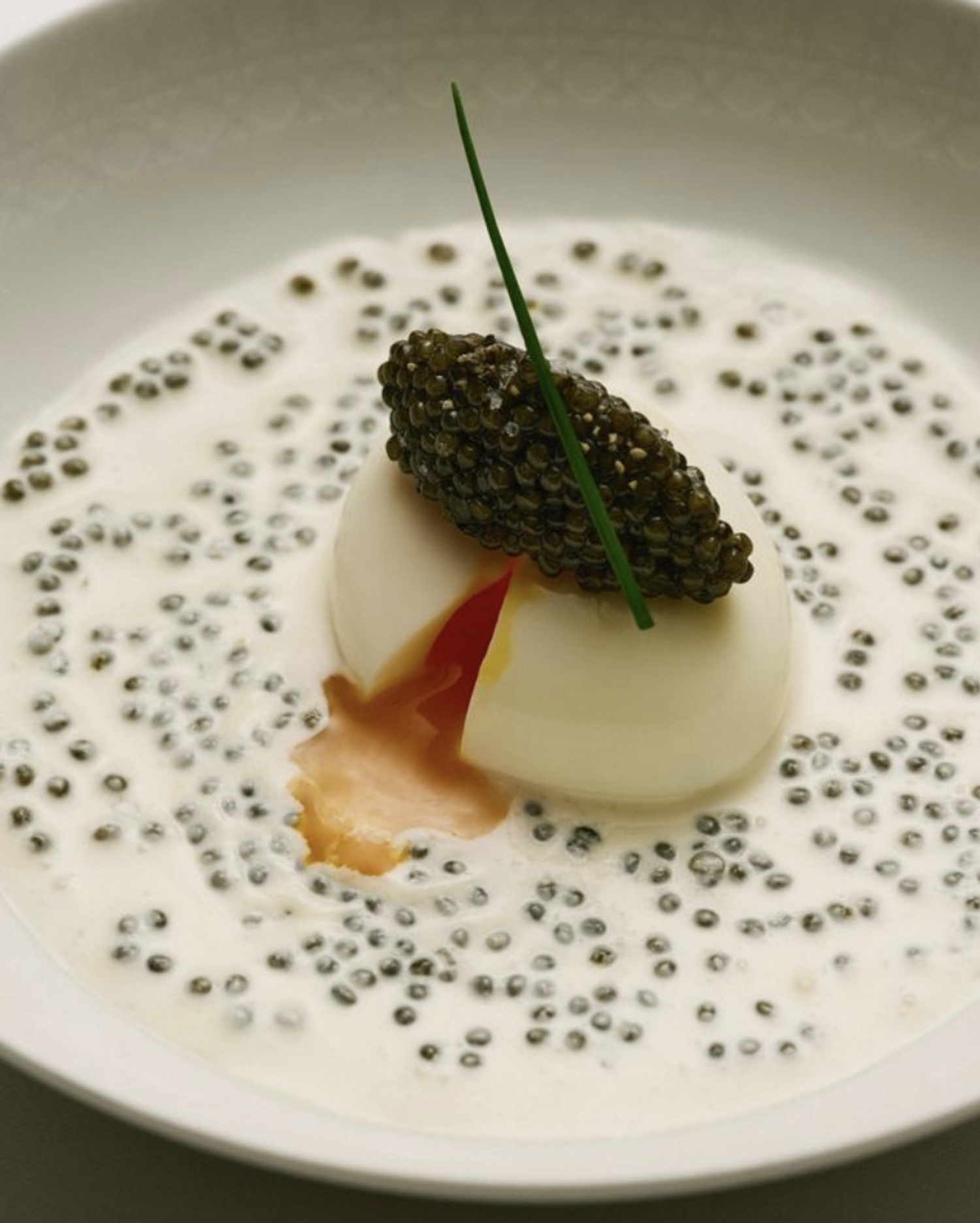 yannick all&eacute;no pour dior restaurant paris