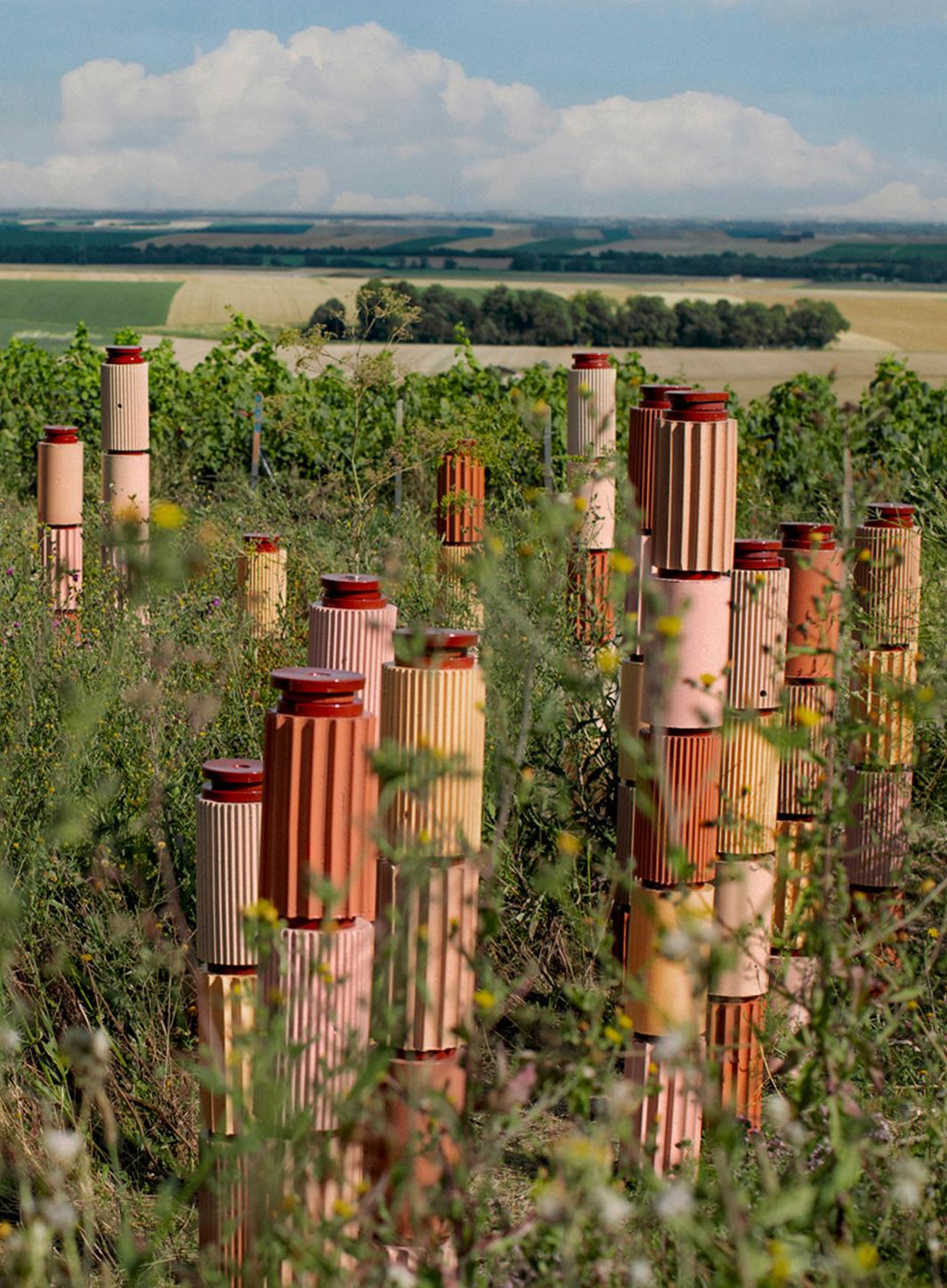 Champagne : avec Formafantasma, Perrier-Jouët célèbre le vivant