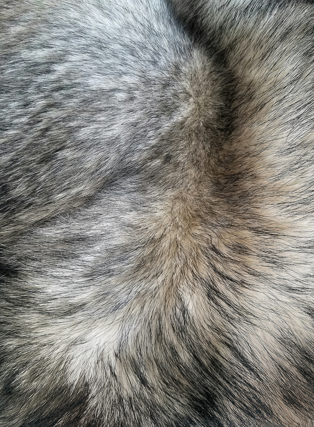 Rick Owens dit adieu à la fourrure