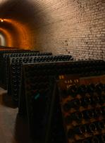 Champagne : des vendanges historiquement précoces sous l'effet des chaleurs estivales
