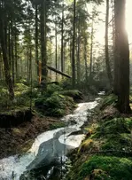 LVMH renforce son engagement RSE avec la signature d’un partenariat élargi avec l’UNESCO