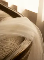Impact médiatique : les marques de luxe surperforment au mariage de Jeff Bezos et de Lauren Sánchez