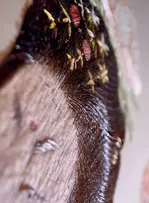 Tendance 2026 : quand les marques célèbrent le patrimoine et le savoir-faire artisanal