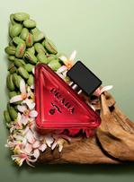 Tendance parfum 2026 - La pistache, nouvelle star olfactive du luxe