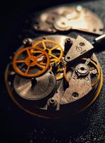 La patience, un luxe qui rapporte