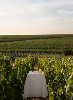 Champagne : Ruinart relance son tour de table chez Cheval Blanc Paris