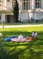 Pique-nique de luxe : quand la gastronomie s’invite sur l’herbe
