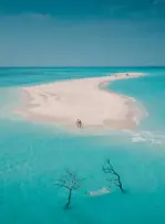 Le voyage en 2026 se planifie à partir de l'émotion