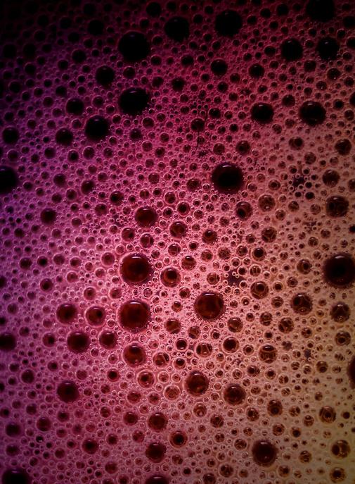 Champagne 2026 : après des vendanges historiquement précoces, une dérogation inédite autorise jusqu'à 15 % d'alcool