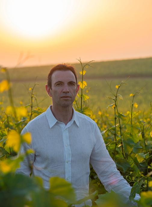 Champagne : Ruinart annonce la disparition de Frédéric Panaïotis
