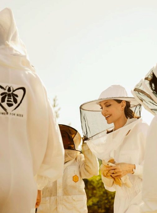 Guerlain : un Instagram Live autour de la biodiversité avec Angelina Jolie.