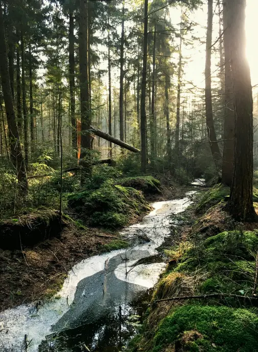 LVMH renforce son engagement RSE avec la signature d’un partenariat élargi avec l’UNESCO