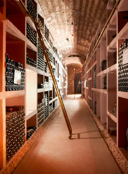 Deutz, au cœur d’une expérience VIC façonnée par le temps et le geste