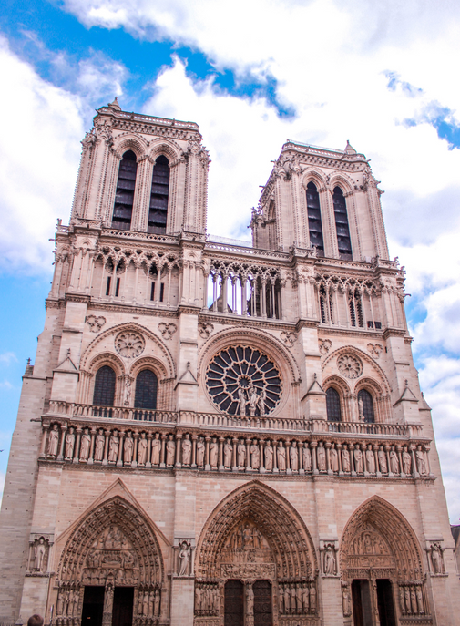 Hennessy offre 36 chênes centenaires pour la reconstruction de Notre-Dame de Paris.
