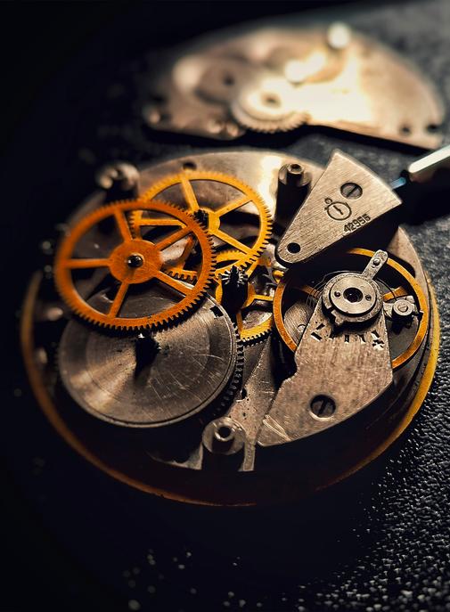 La patience, un luxe qui rapporte