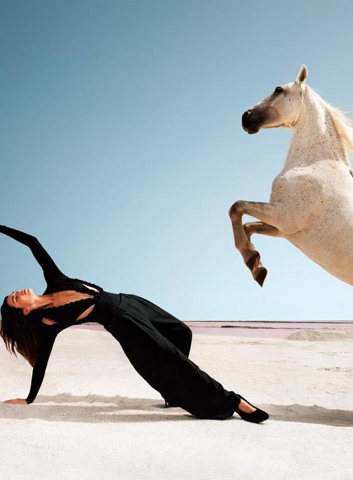 Peut-on réussir une campagne cheval sans être Hermès ?