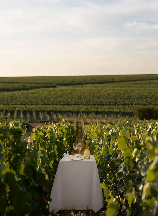 Champagne : Ruinart relance son tour de table chez Cheval Blanc Paris