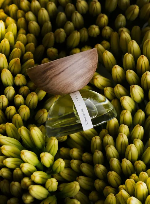 Avec XINÚ, le groupe Estée Lauder mise sur la parfumerie mexicaine de niche