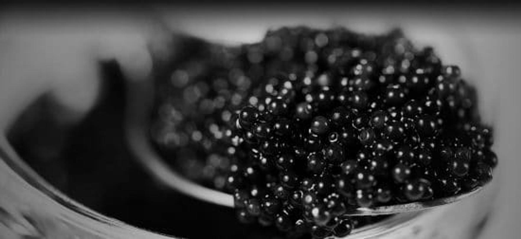 caviar 