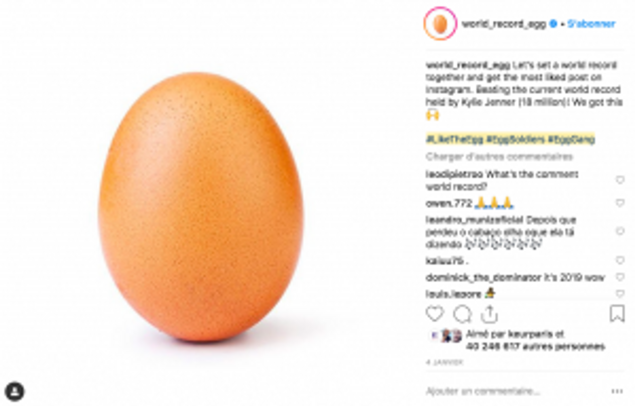 egg world record