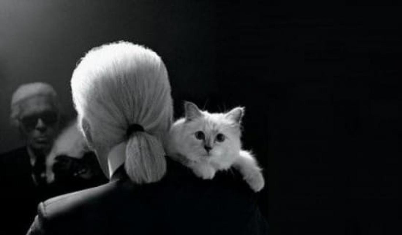 choupette lagerfeld