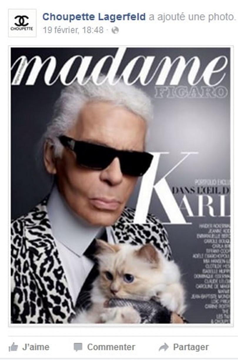 choupette lagerfeld