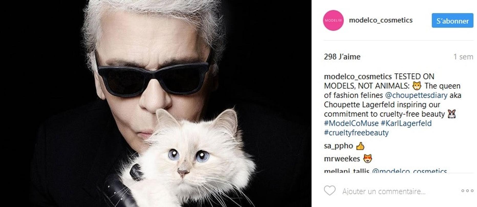 karl lagerfeld modelco