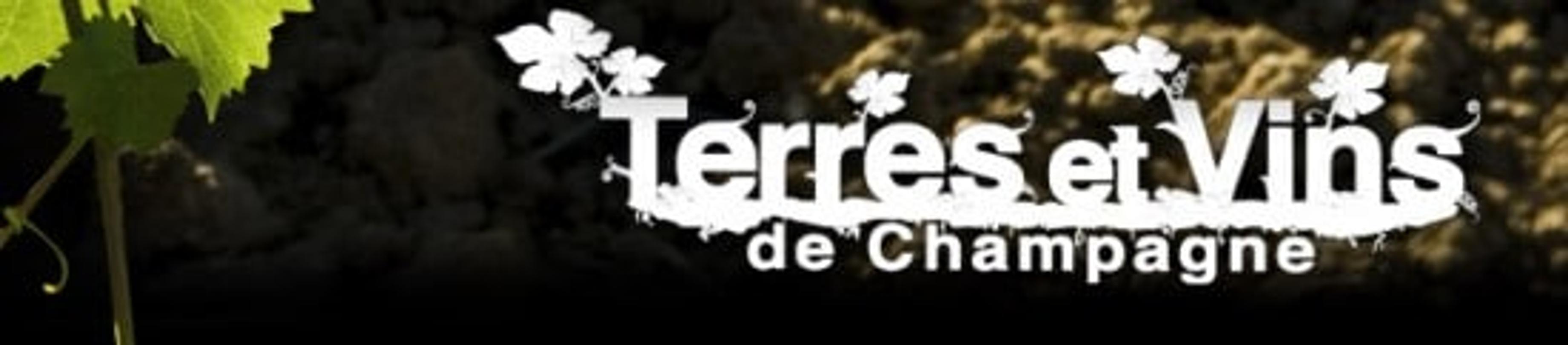 Terre et Vins de Champagne