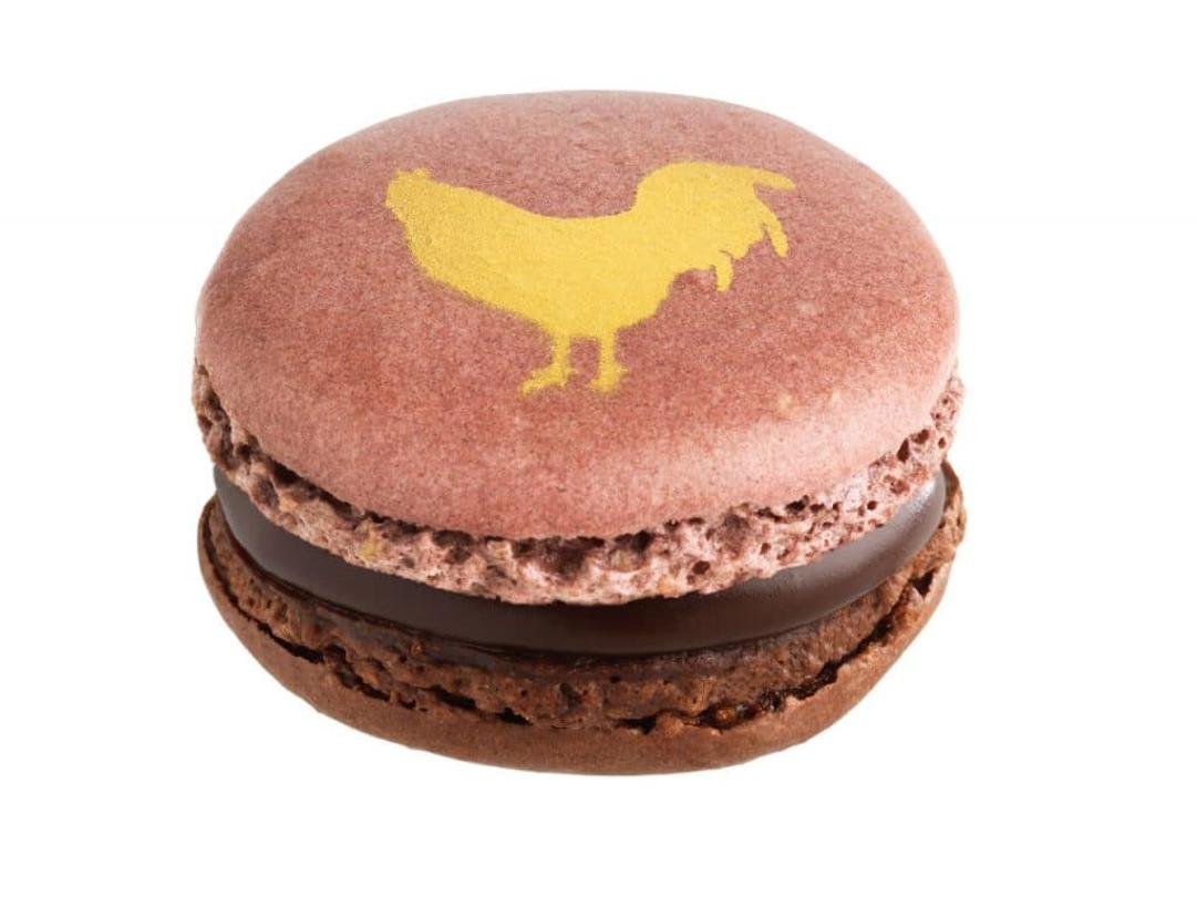 macaron jean paul hévin