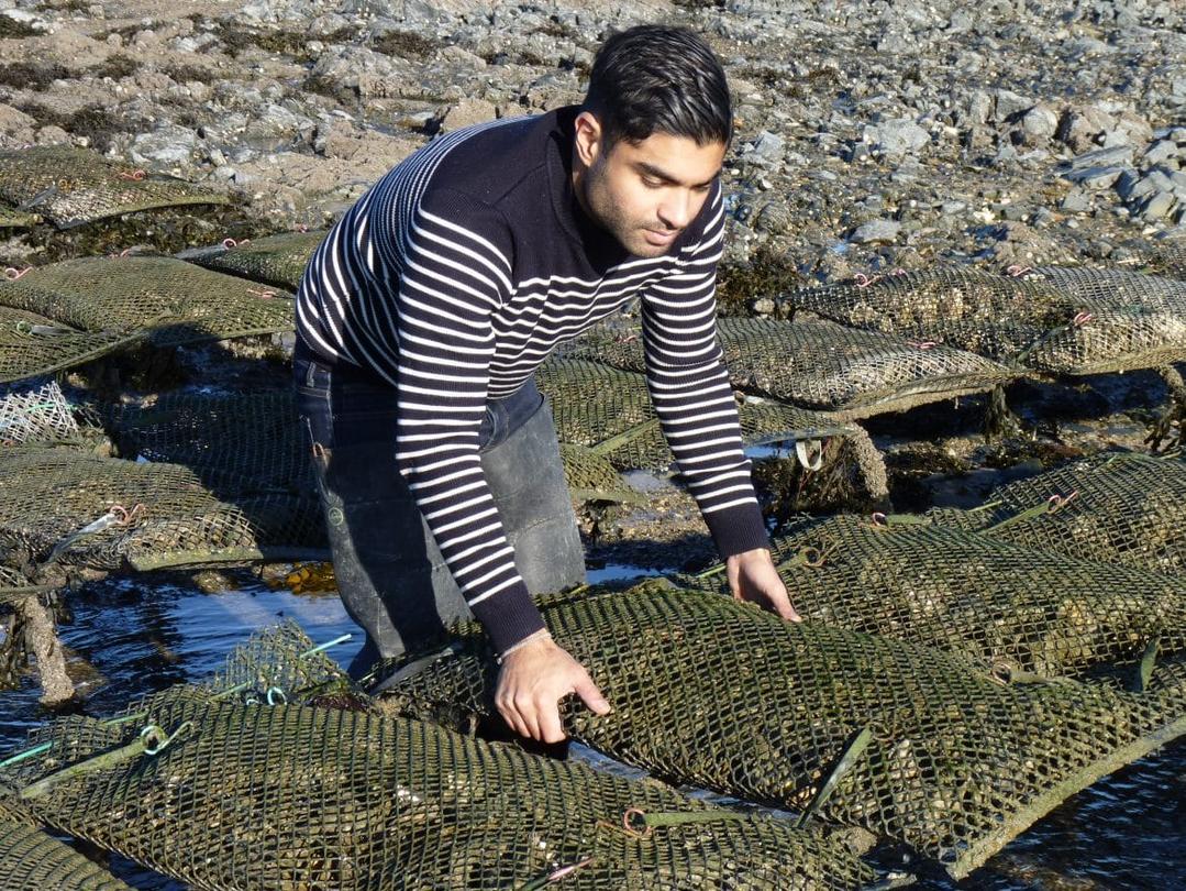 oyster factory