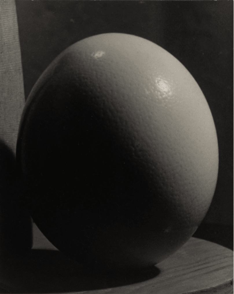 man ray ostrich egg