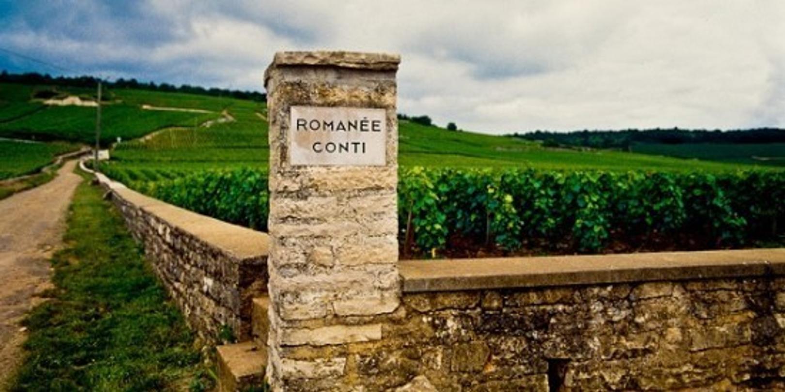 Romanée Conti vignoble bourgogne