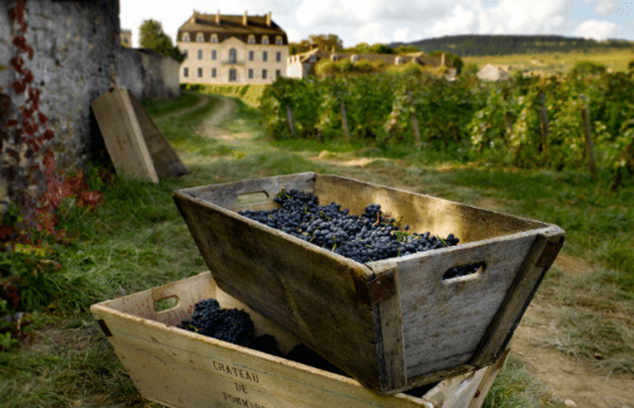 vin chateau pommard