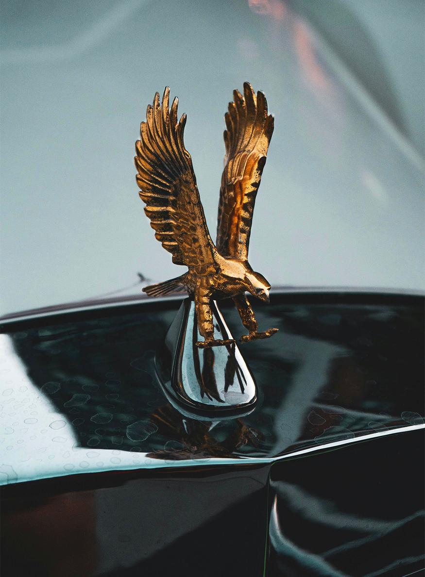 luxe performance