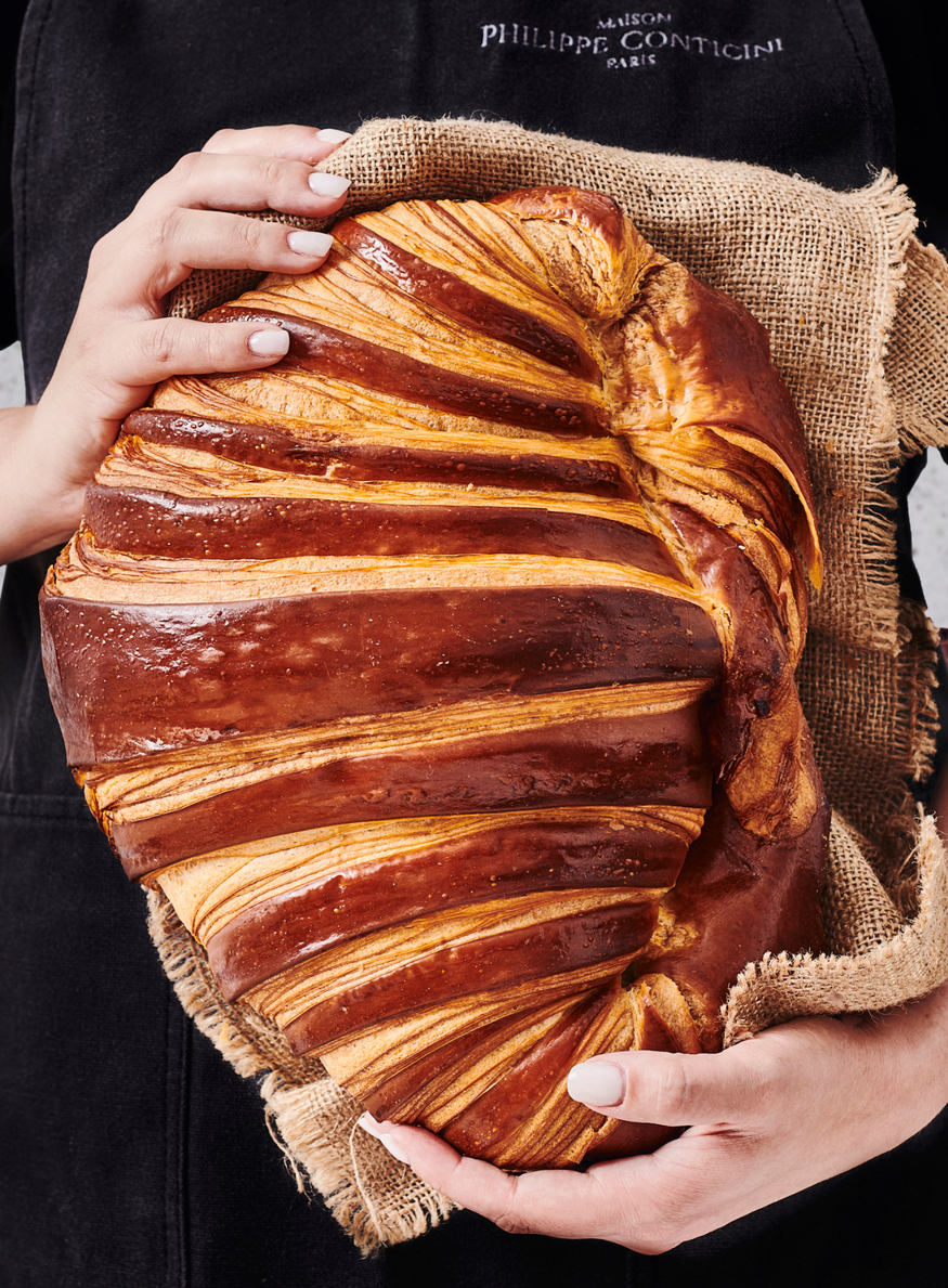 philippe conticini pop up