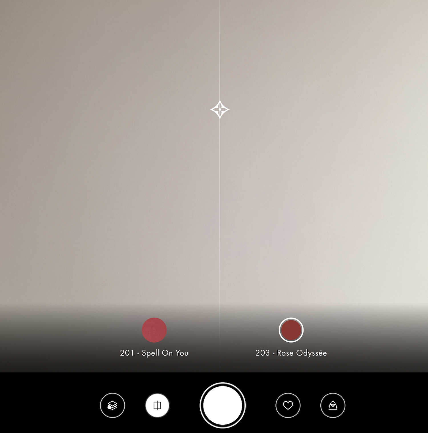 louis vuitton essayage