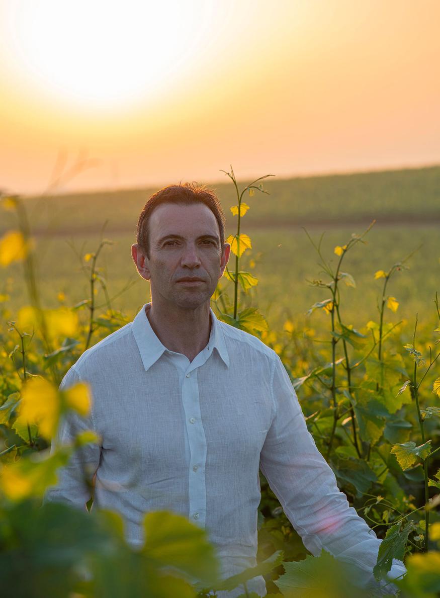 Chef de caves de ruinart, champagne, frederic panaiotis