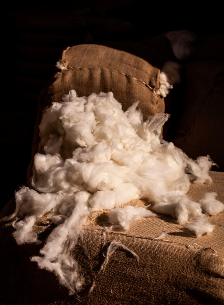 Loro Piana Resilient Threads
