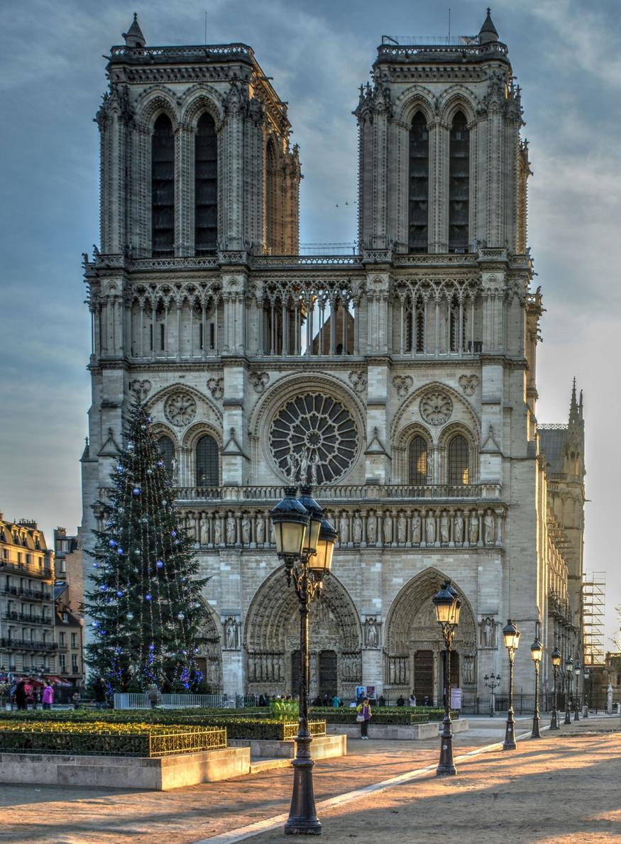 notre dame de paris jean charles de castelbajac